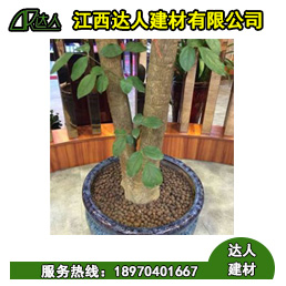 花卉園林陶粒好不好用？